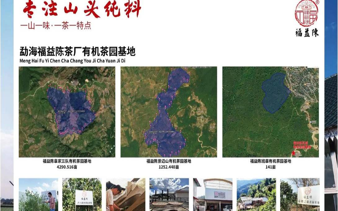 勐海茶区介绍,普洱康养基地价格表