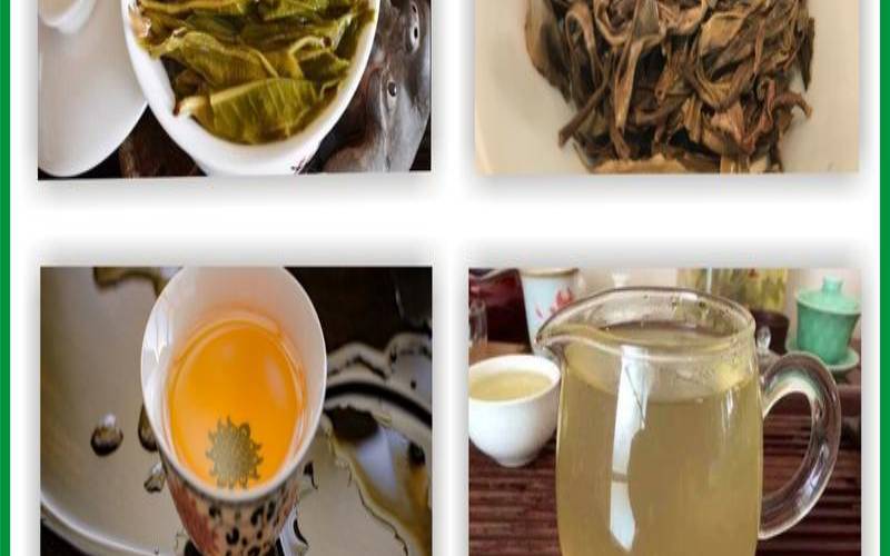 怎么分辨普洱茶好坏,什么样的普洱茶才是好茶