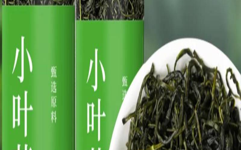 苦丁茶是中药吗,常喝苦丁茶有什么好处