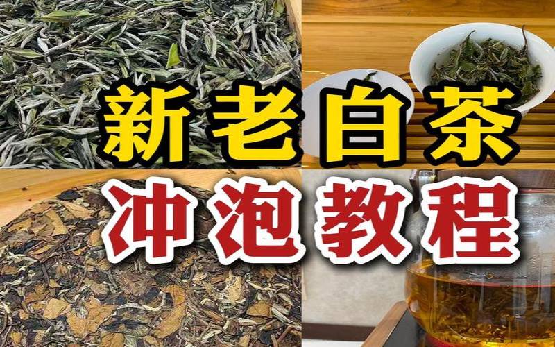 老白茶怎么冲泡好喝,老白茶怎么喝才好 老白茶怎么冲泡好喝,老白茶怎么喝才好