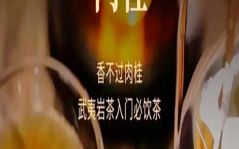 武夷岩茶的副作用,武夷山岩茶肉桂功效