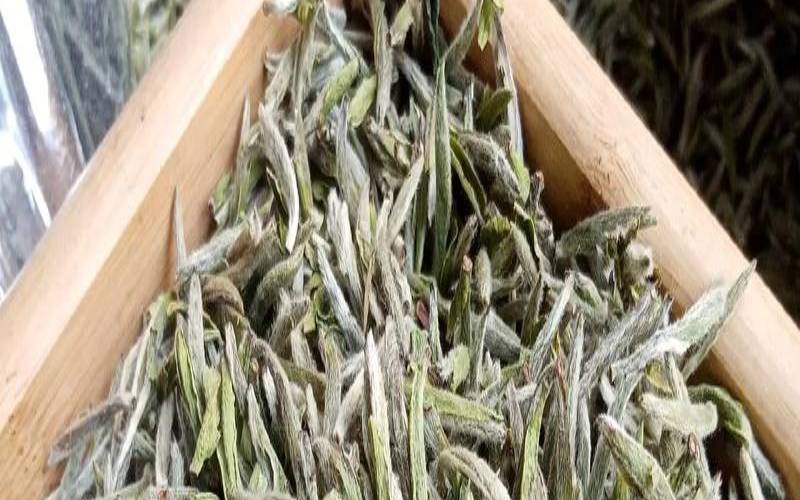 银针白毫多少钱一斤,1800一斤的白茶银针