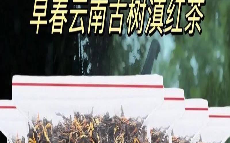 滇红茶产区属于哪里,临沧滇红是红茶吗