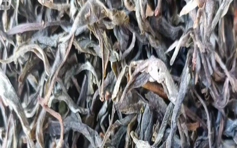 哪家茶厂出的冰岛茶最好,冰岛茶属于什么茶 哪家茶厂出的冰岛茶最好,冰岛茶属于什么茶