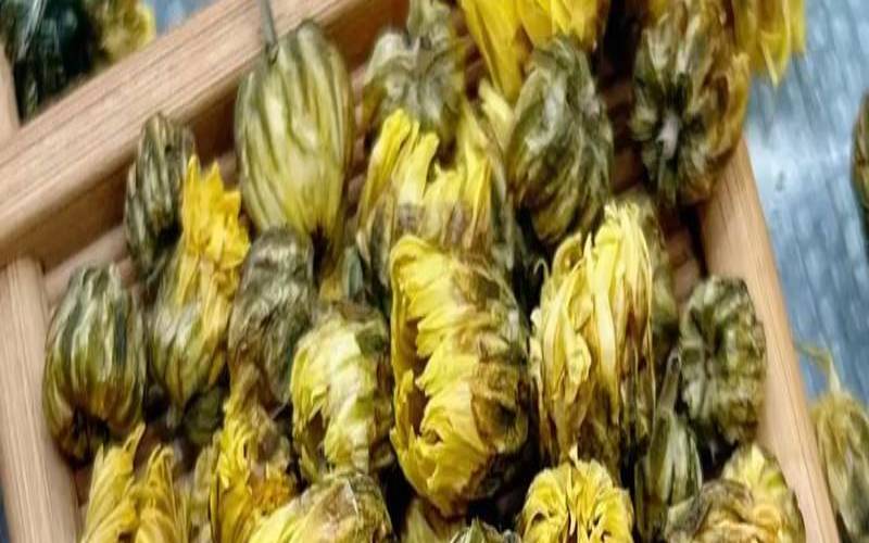 昆仑山野生胎菊与作用,昆仑山胎菊功效与作用 昆仑山野生胎菊与作用,昆仑山胎菊功效与作用