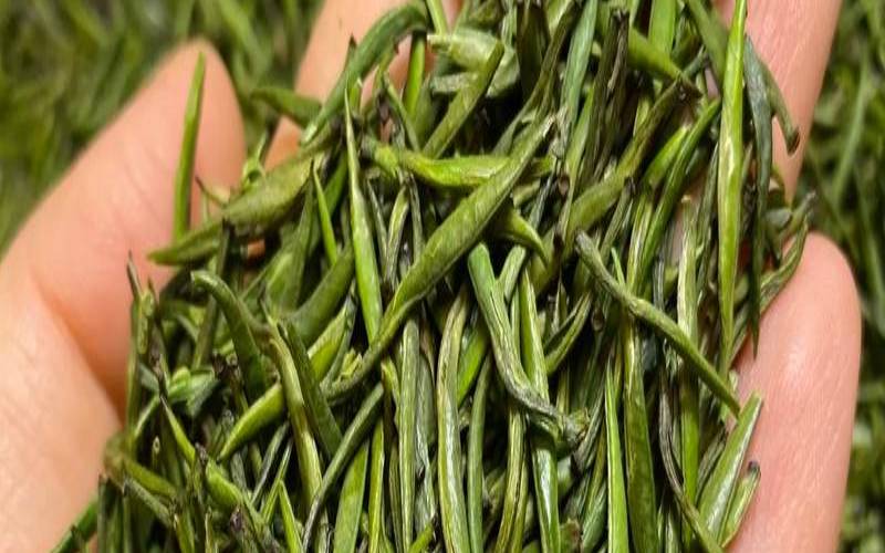 昔日帝王茶蒙顶石花是什么茶，蒙顶石花和雀舌区别