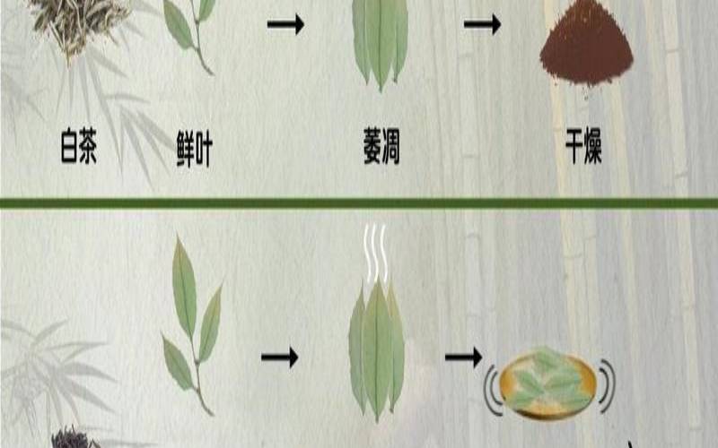 茶叶制造工序(茶叶制造工序流程),制造茶叶的工艺流程 茶叶制造工序(茶叶制造工序流程),制造茶叶的工艺流程