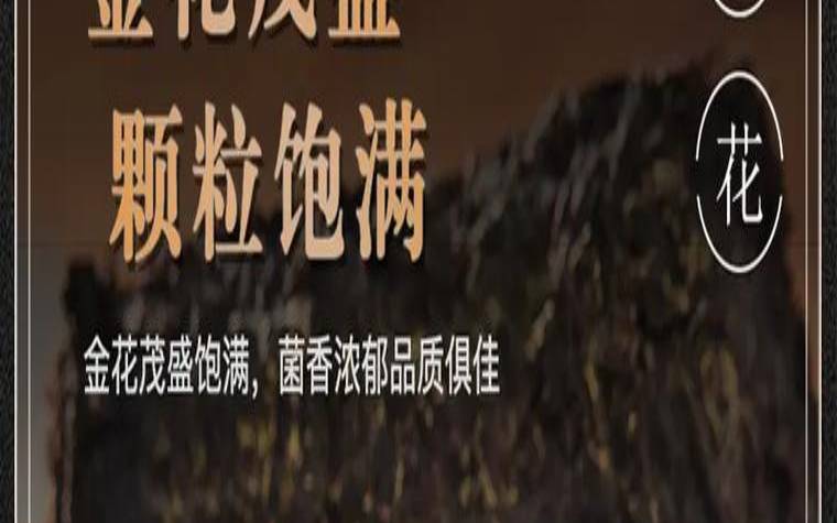 湖北黑茶的特点,黑茶的口感与特征