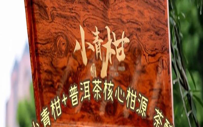 一颗小青柑能泡几次,小青柑和铁观音能一块泡吗