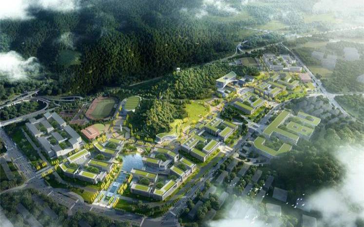 福建西坪镇茶叶,重庆南岸区茶园新区 福建西坪镇茶叶,重庆南岸区茶园新区