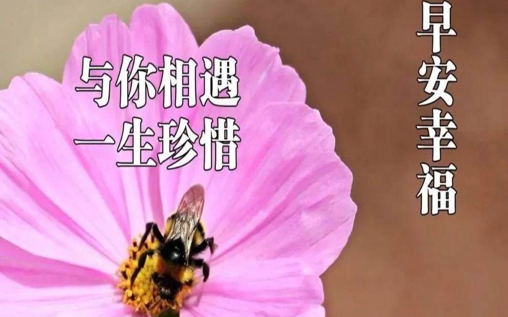 2020年春节祝福短信大全,年末问候短信与问候语 2020年春节祝福短信大全,年末问候短信与问候语