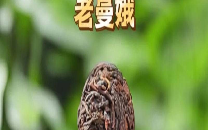 普洱茶龙珠制作方法,普洱熟茶和生茶哪个好