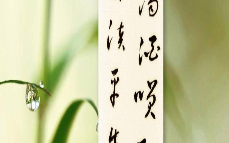 一杯清茶感叹人生简单句子,普洱生茶的心得感悟 一杯清茶感叹人生简单句子,普洱生茶的心得感悟