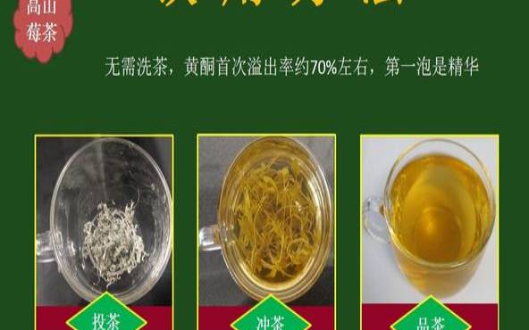 野生茶有什么功能主治,野生茶的功效与作用 野生茶有什么功能主治,野生茶的功效与作用
