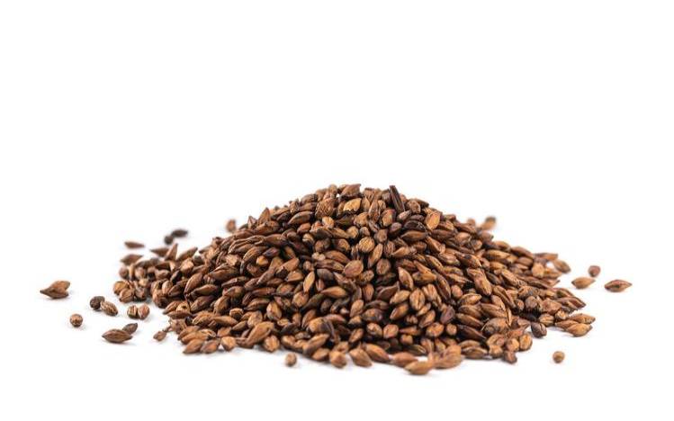 茶叶能减脂肪吗,大麦茶又叫短命茶 茶叶能减脂肪吗,大麦茶又叫短命茶
