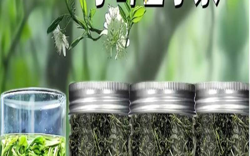 什么茶叶喝起来香又不苦,什么茶叶不苦有清香 什么茶叶喝起来香又不苦,什么茶叶不苦有清香