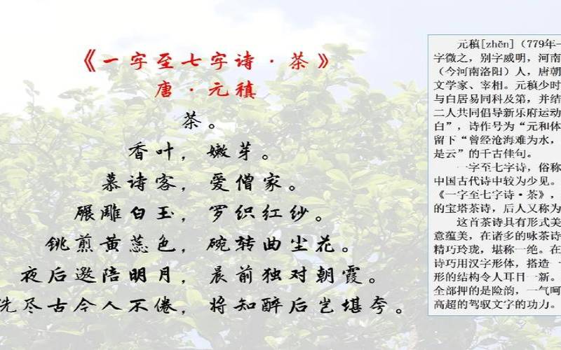 写茶叶的古诗句有哪些,关于茶的经典诗句 写茶叶的古诗句有哪些,关于茶的经典诗句