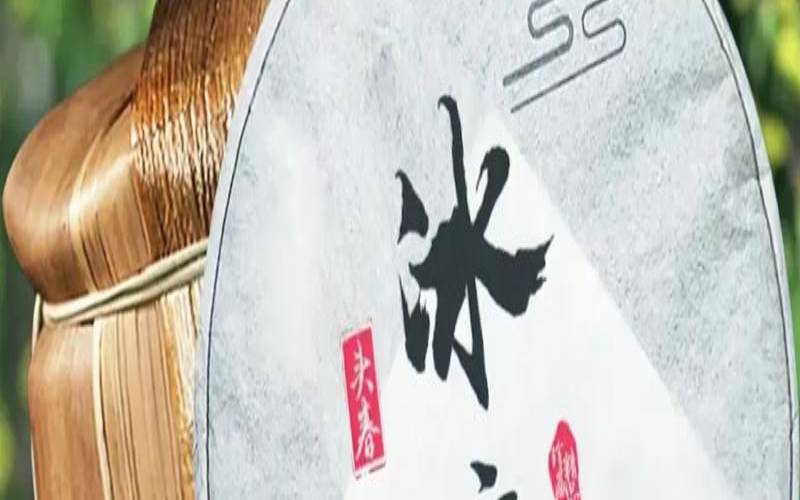 冰岛普洱茶是什么茶,什么是冰岛普洱茶