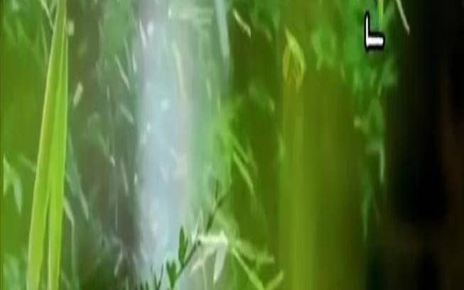 春风十里一盏茶是什么意思,人生如茶回味悠长岁月如画 春风十里一盏茶是什么意思,人生如茶回味悠长岁月如画