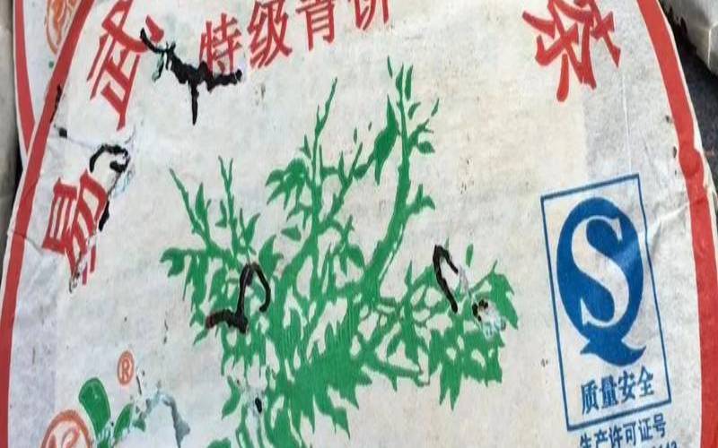 普洱大树茶是属于什么茶