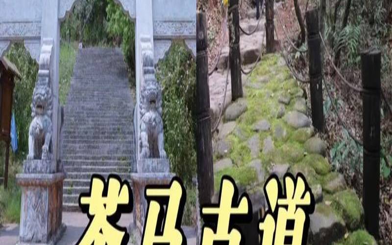 革登古茶山普洱茶的特点,茶马古道普洱 革登古茶山普洱茶的特点,茶马古道普洱