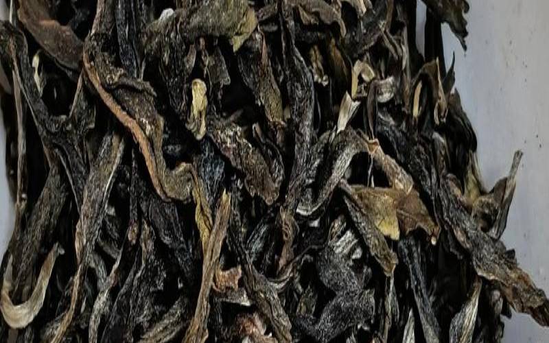 地界古树茶口感特点，地界古树茶口感特点描述