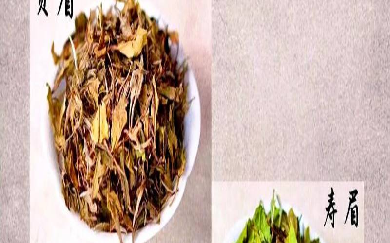 白茶寿眉的功效与作用,寿眉茶是白茶吗
