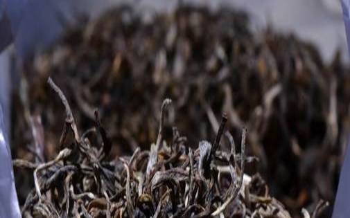 倚邦小叶种古树普洱茶南峰谷养生茶网，倚邦小叶种古树口感特点