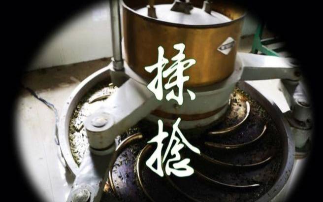 揉捻的作用有破坏酶蛋白吗,口娇水先用冰还是火