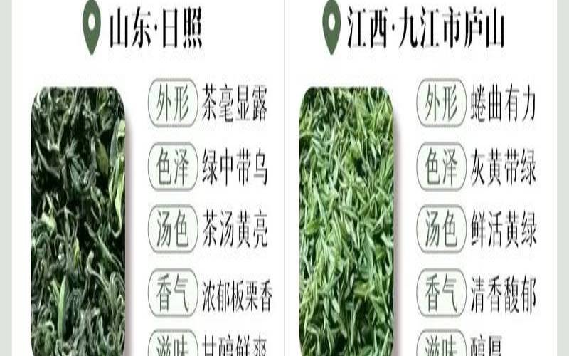 绿茶的功效与作用,男性喝什么茶对性功能好