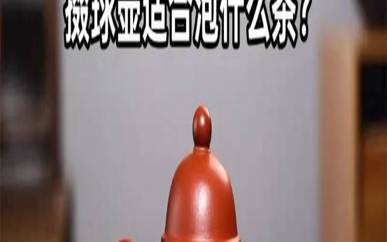 紫砂壶口大的适合泡什么茶,生普能用紫砂壶泡吗