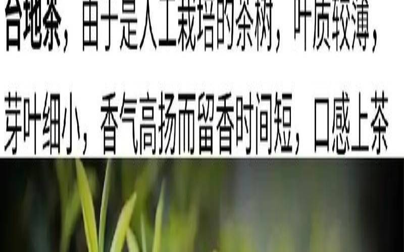 云南普洱茶知识讲解,云南普洱茶产品介绍 云南普洱茶知识讲解,云南普洱茶产品介绍