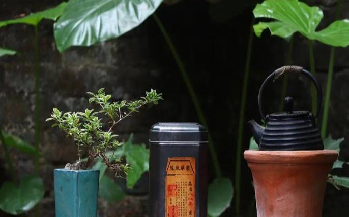 潮汕地区功夫茶,潮汕功夫茶还是工夫茶 潮汕地区功夫茶,潮汕功夫茶还是工夫茶