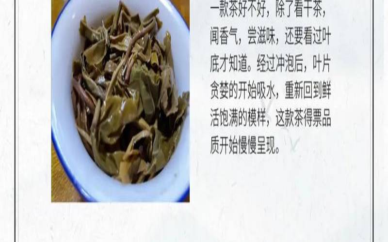 怎么看茶值不值钱,什么叫茶的叶底