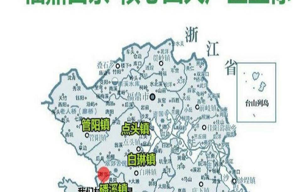 福鼎白茶销往哪些国家,福鼎白茶主产区是哪里 福鼎白茶销往哪些国家,福鼎白茶主产区是哪里