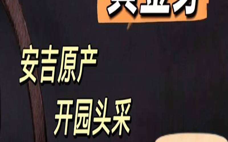 熊猫茶叶是什么茶,中国最贵的茶叶4亿元一斤 熊猫茶叶是什么茶,中国最贵的茶叶4亿元一斤