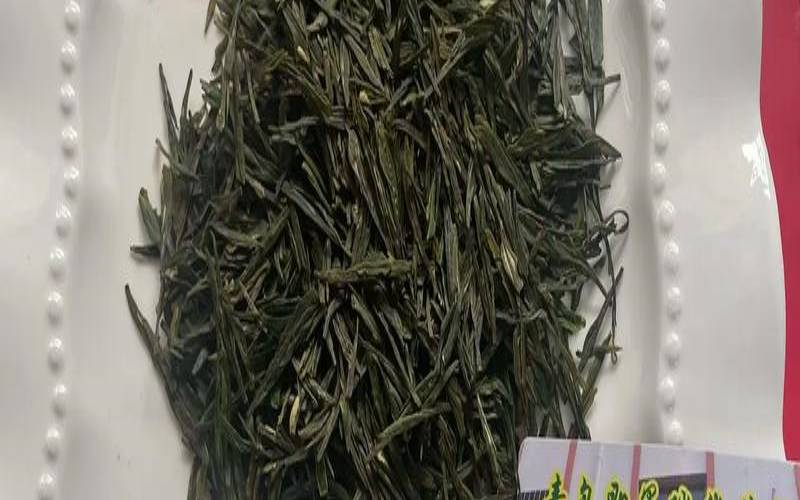 崂山扁茶和崂山碧螺春,崂山扁茶怎么样