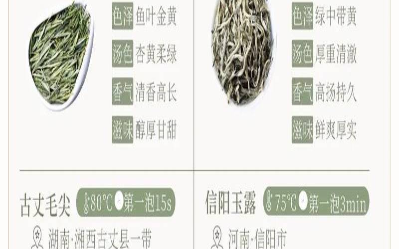 减肥绿茶有哪几种,减肥绿茶有哪些品种 减肥绿茶有哪几种,减肥绿茶有哪些品种