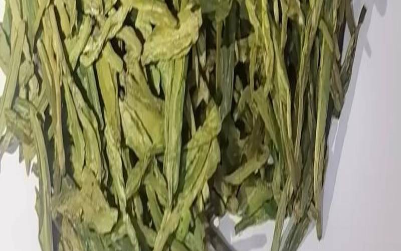 龙井茶种植和管理,龙井是什么茶类