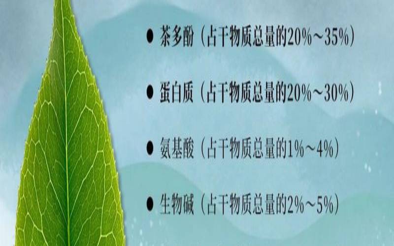普洱茶茶多酚含量多少,熟茶含有茶多酚吗 普洱茶茶多酚含量多少,熟茶含有茶多酚吗