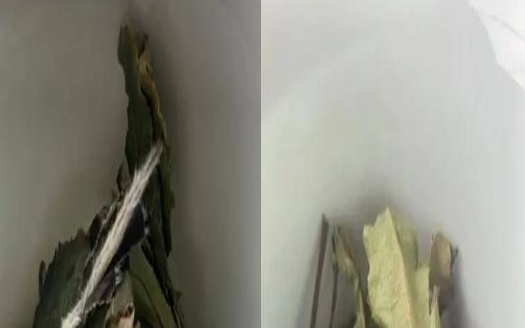 寿眉的等级和特点，寿眉的级别如何划分