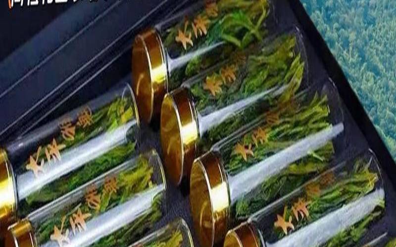 孕妇能喝太平猴魁茶吗,孕妇能喝猴头菇茶吗 孕妇能喝太平猴魁茶吗,孕妇能喝猴头菇茶吗