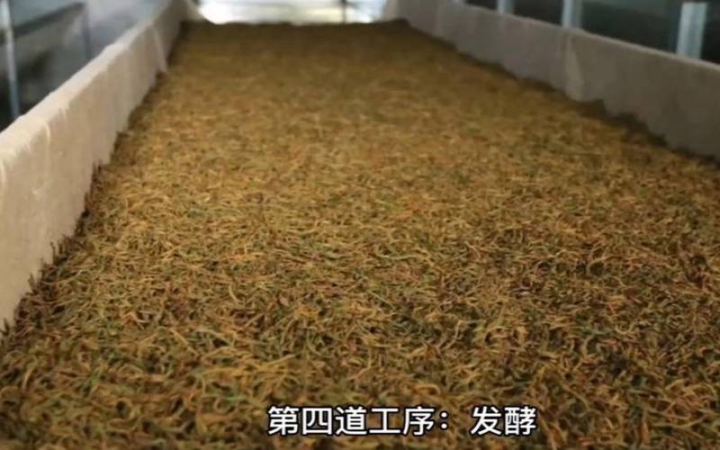 滇红茶的工艺是怎么做的,云南红茶制作工艺流程