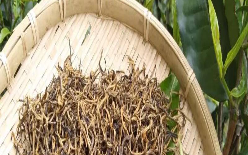 普露牌茶品质怎么样,滇红茶叶属于什么档次