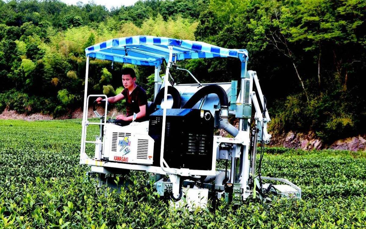 目前大量使用的采茶机有哪些？，最先进的采茶机