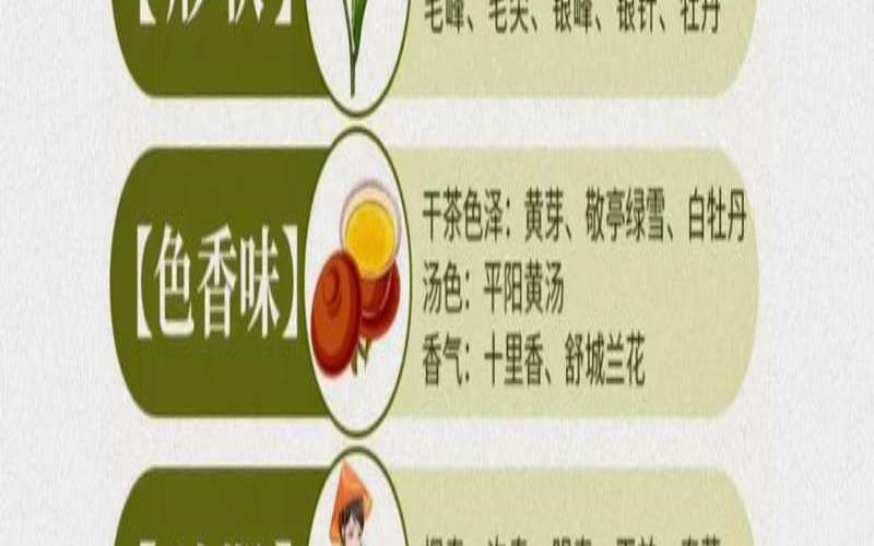 茶叶从哪里来教案,送人茶叶用什么茶叶好