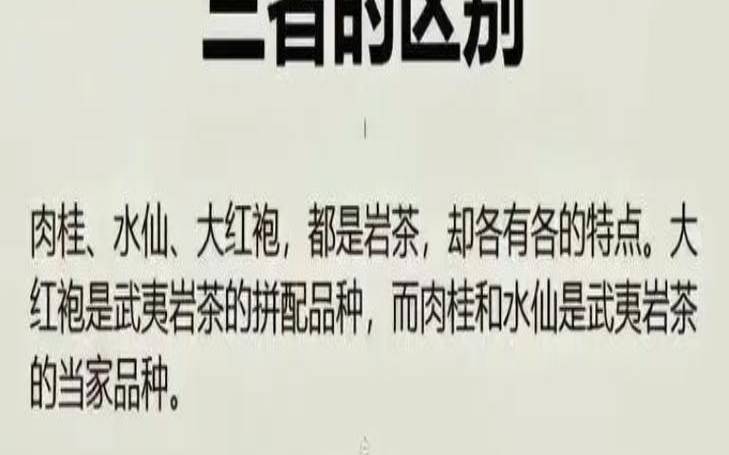 怎么挑选肉桂,上肉桂和肉桂的区别
