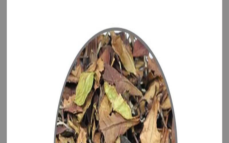 白茶寿眉功效,水仙白茶寿眉功效 白茶寿眉功效,水仙白茶寿眉功效