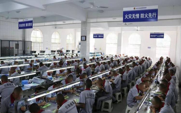 云南省普洱市普洱监狱,云南普洱监狱图片 云南省普洱市普洱监狱,云南普洱监狱图片