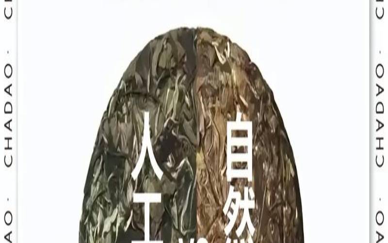 以茶为媒以茶会友什么意思,君子爱茶下一句是什么 以茶为媒以茶会友什么意思,君子爱茶下一句是什么